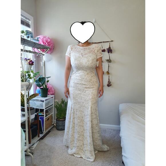 Melissa Sweet Ivory Champagne Short Sleeve Lace Train Wedding Dress Plus Sz 22W - Picture 6 of 12